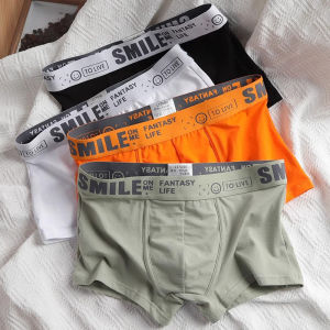 4pcs Boxers Breathable underwear Elastic comfort antibacterial Briefs Boxer Brief for man 100% Cotton High Quality boxer