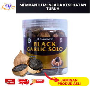 Black Garlic Solo Bawang Tunggal Premium Bawang Lanang