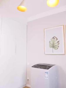 Haier leader 6910KG Large Capacity Washing hine Automatic Household Mute Small Rental 8 KG New Product