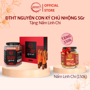 Đông Trùng Hạ Thảo Nguyên Con Ký Chủ Nhộng Tằm CordyHappy - Hộp 5g
