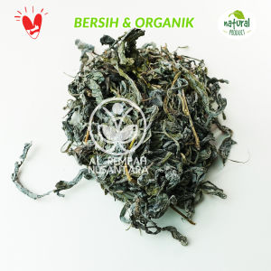 Daun Tempuyung Kering 100gr - Asli dan Organik