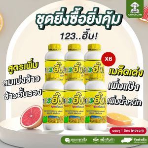 เพิ่มลมแบ่ง เมล็ดเต่ง เพิ่มแป้ง เพิ่มน้ำหนักผลผลิต โปรยิ่งซื้อยิ่งคุ้ม 6 ลิตร แก้ข้าว อั้นรวง ผลผลิต ต่อไร่สูง