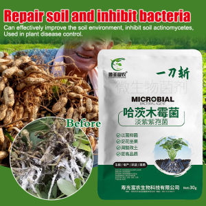 Universal Fungicide Pale Purple Purple Spore Vegetable Universal Microbial Mold Prevention