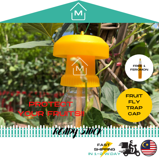 [EFFECTIVE] Fruit Fly Trap Pheromone Yellow Attractant Cover / Penutup