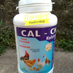Cal Chick Calchick Kalsium Calsium Untuk Ayam 1000 Tablet by Raid All Anti Lumpuh Ayam