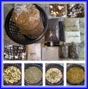 ชุดตระกร้าเพาะเห็ดฟาง ครบชุดเพาะง่าย มีวิธีทำเรียบร้อยครับ