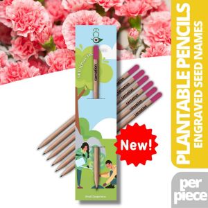 Ecò Plantable Pencil CARNATION Flower Herb & Vegetable Seeds Eco-Friendly Organic Sunflower Daisy