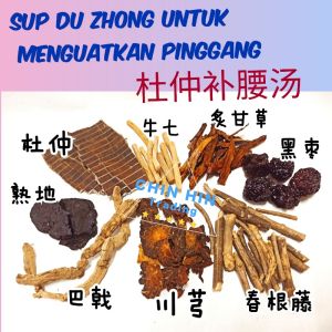Sup Du Zhong Untuk Menguatkan Pinggang 杜仲补腰汤 ( 1 pack )