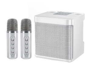 ไมโครโฟนคู่ลำโพงบลูทูธ YS-203 รองรับ USB/TF/AUX จัดส่งในพื้นที่