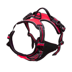 HATELI Nylon Dog Harness Vest with Leash Reflective Pet Puppy Walking Training Harness Leash Set Traction Rope For For Small Medium Large Dogs And Cats
