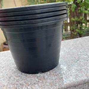 กระถาง กระถางต้นไม้ 10” แพ็ค 5 ใบ สินค้าพร้อมส่ง