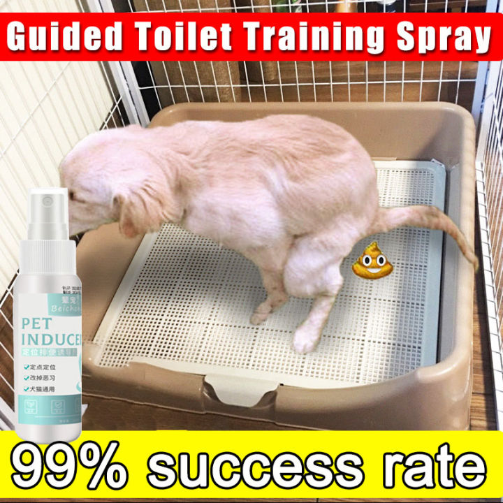 potty-spray-pet-potty-trainer-for-dogs-toilet-training-spray-dog