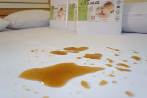 SINA ปลอกหมอนข้าง กันคราบ มีซิป กันน้ำ กันไรฝุ่น ยับยั้งแบคทีเรียและเชื้อรา (วัสดุ PVC Nano Sheet)