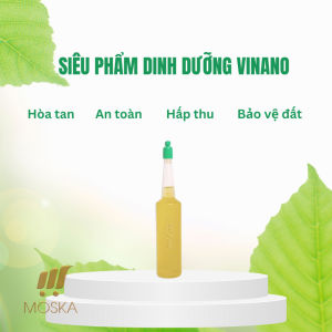 Chế Phẩm Vi Sinh BKFAST PGPR Gốc Hàn Quốc - Siêu Kích Thích Rễ Cho Cây Cực Mạnh Kháng Khuẩn Kháng Nấm Tăng Trưởng Nội Sinh Cho Cây Trồng Chuyên Biệt Cho Hoa Lan Hoa Hồng Và Cây Cảnh An Toàn Sinh Học An Toàn Cho Người Lớn Và Trẻ Nhỏ | Moska