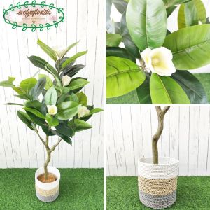 Pohon Hias Artificial Tanaman Daun Magnolia Latex Cover Seagrass Dekorasi Ruang Tamu Hiasan Rumah Aesthetic