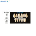 4 Vĩ Răng Giả Nhựa Composite Màu A2 Đủ Bộ 28 Răng Dùng Để Học Mài, Đính Đá, Tháo Lắp Labo Nha Khoa. 