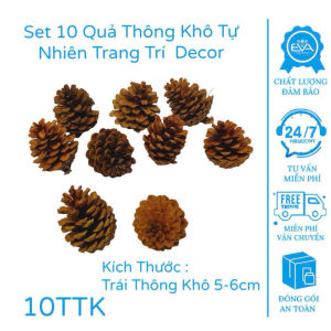 Combo thông khô 10 trái – trang trí cây thông quà tặng handmade