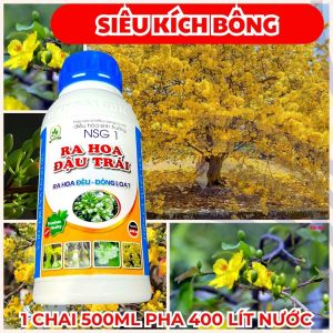 Phân Bón Lá NSG 1 500ML – Dưỡng Nụ Giữ Hoa Giúp Mai Ra Hoa Đồng Loạt Sắc Vàng Tươi
