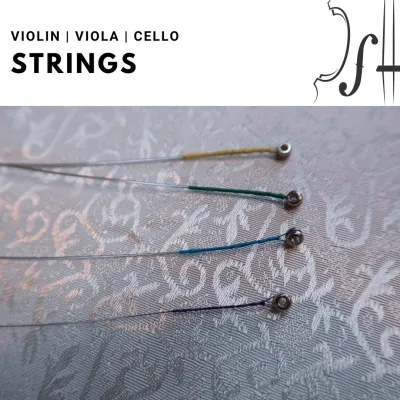 Finechord Violin Strings | BrightStart Buy Any Size ( Set or Loose string )