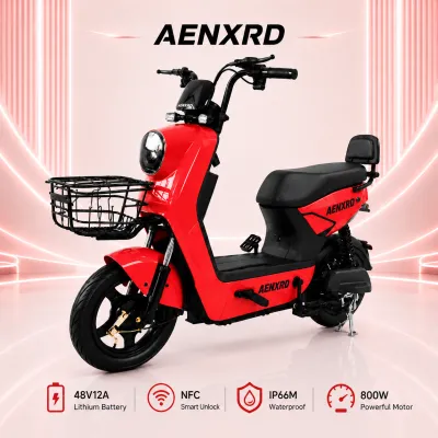 Q8 Electric Bicycle NFC Card 800W 48V 12AH Adult E Bike 2025 Version Long Range with 4 Batteries Free Rearview Mirror Remote Control