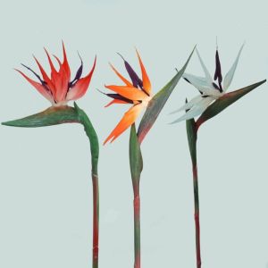 3pcs Artificial Bird Of Paradise Flowers Rubber Strelitzia 24.5 Long Stem Flower Suitable For DIY Home Party Theme Decor