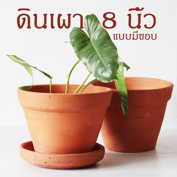 กระถางดินเผามินิมอล มีขอบ 8 นิ้ว พร้อมจานรอง