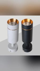 SXH Gold Surface Mounted Ceiling Downlight led Ceiling Light Adjustable Angle for Living Room Home Use Exhibition Clothing Store Commercial Use