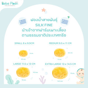 ฟองน้ำสายพันธุ์ธรรมชาติ 100% เบเบ้ เพลิน ออร์แกนิค