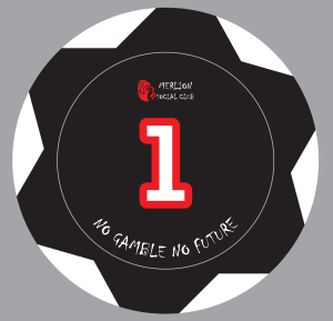 【Merlion Social Club】High Quality 14 Grams Singapore Style Casino Poker Chips / No Gamble No Future【Ship Out 24Hrs】