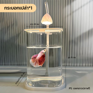 🐠ตู้ปลากัด🐠พิพิธภัณฑ์สัตว์น้ำ ตู้ปลาขนาดเล็ก พร้อมไฟ LED เหมาะสำหรับเลี้ยงปลากัด มีให้เลือก 3 ตัวเลือก 10*10*15cm