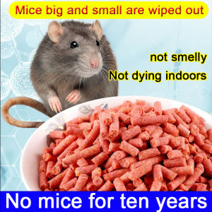 Rat killer poison Rat Repellant for Home Rat Poison  Lason sa Daga  Rat Killer for Home  Rat Poison Killer  Mouse Killer  Pamatay pest control