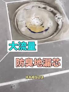 Brass Floor Drain Core Large Size Odor and Insect Proof Floor Drain Core Sewer Rapid Drainage Bathroom Floor Drain Core Quick Installation