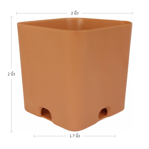 กระถาง กระถางแคคตัส กระถางเหลี่ยม 2 นิ้ว สีอิฐ Bundle 100 ใบ ชิ้น อัน