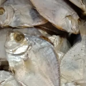 IKAN KERING KEKEK IKAN MASIN KEKEK 200GM