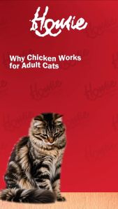 1.5kg Homie Super Premium Cat Food (Kitten Mother / Adult / Sterlised Urinary / Sensitive)