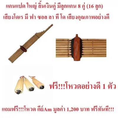 แคน แปด อีสาน ลิ้นเงินคู่ ไม้ไผ่รวกอย่างดีแถมฟรี!!!โหวดอีสาน คีย์ Am อย่างดีมูลค่า 1200 บาท ฟรีทันที!!!