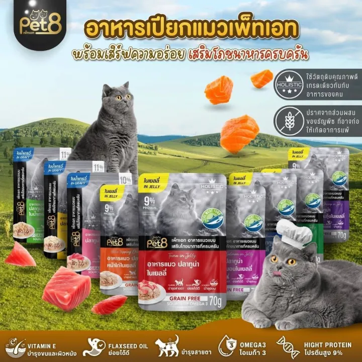รีวิวเจาะลึก PET8 อาหารเปียกแมวเกรด Holistic: ดีจริงไหม? คุ้มค่าทุกซองที่ให้น้องเหมียว?