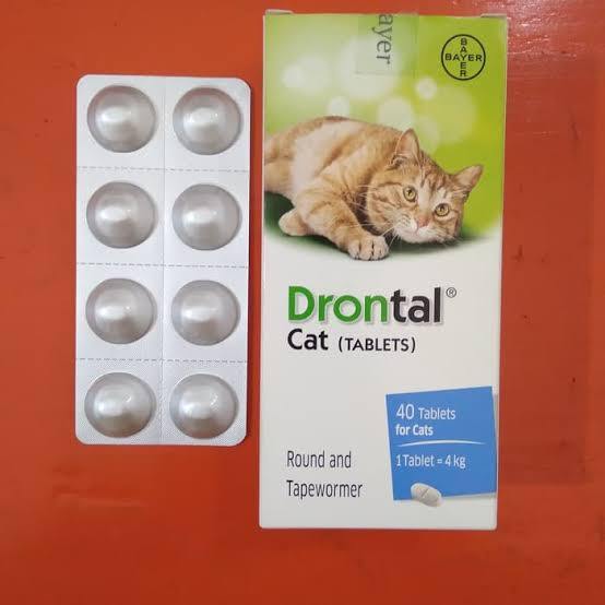 Drontal store untuk kitten