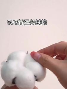 （5 pieces）Womens pure cotton underwear/Striped womens underwear/style color series/Antibacterial pure cotton crotch/Triangle underwear/Wholesale 纯棉内裤