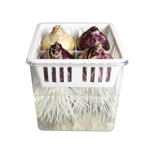 MAELIN Acrylic Thùng trồng thủy canh Với giỏ hỗ trợ thoáng khí Rõ ràng Chậu trồng thủy canh Mạnh mẽ Chậu hoa thủy canh Tulip Trang trí nhà cửa