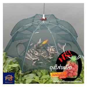 เตรียมจัดส่งเร็ว 1 วัน ดักปลา 4 ตา การแต่งต้นดักปลา กระชังปลา ดักกุ้ง ดักปู พับเก็บได้ อาหารดักกุ้ง แถมถุงใส่เหยื่อ