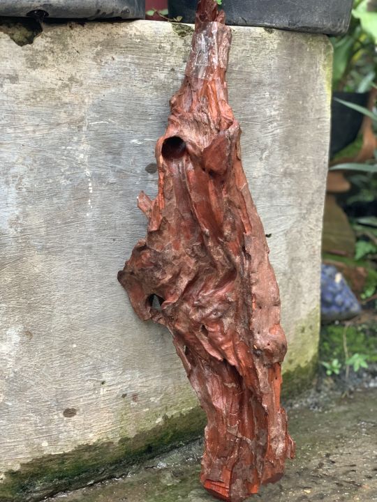 G%E1%BB%96%20L%C5%A8A%20NGH%E1%BB%86%20THU%E1%BA%ACT%20MS584%20Link%20A%20-%20Image%207