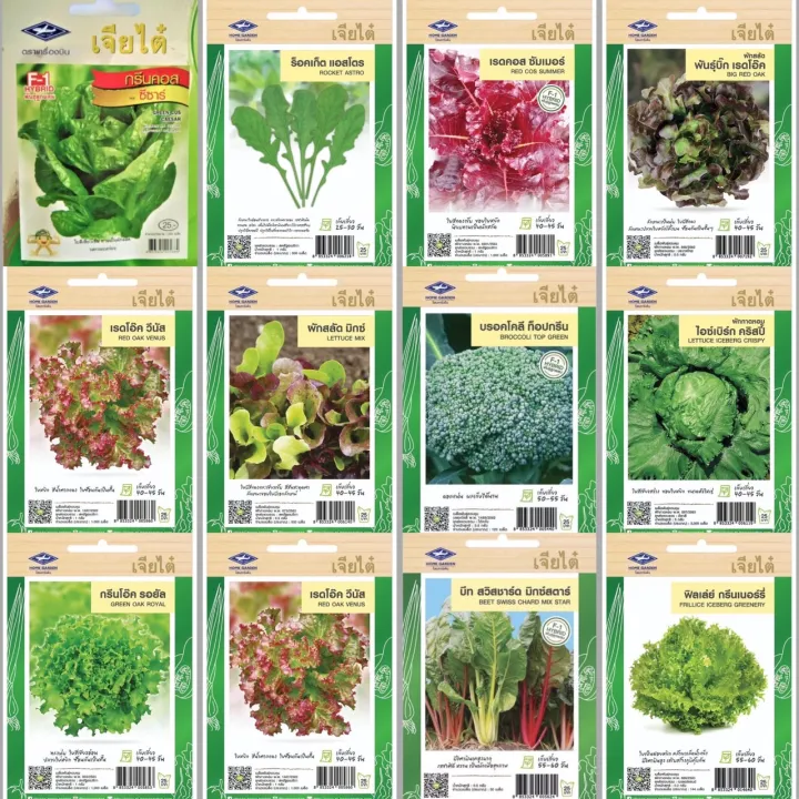เมล็ดพันธุ์ผักสลัดรวม 13 ชนิด เจียไต๋ ปลูกไฮโดร
