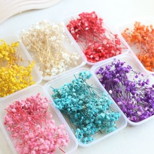 Dried Gypsophila Holding Bouquet Dried Flower Ornaments Gift Wedding Party Home Birthday DIY