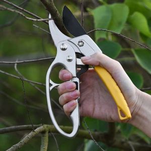 Pruning Shears Gunting Dahan Bunga Gunting Pohon Gunting Tangkai Bunga