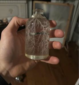 Lightning in a bottle|Lichtenberg diagram|Lightning specimens|Lightning crafts ornaments and gifts Home furnishings