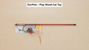 OurPets Play-N-Squeak Teathered & Feathered Play Wand Cat Toy for All Breed Sizes