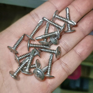 Vít đầu dù tự khoan inox 401