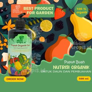 Pupuk Cair Organik Buah 500 mL Super Lebat pupuk Organik Cair Obat Perangsang Bunga Pupuk Penyubur Tanaman Pembesar dan Pelebat Buah Pupuk Semprot untuk Segala Jenis Buah Buahan Pupuk Organik Anti Rontok Bunga dan Buah Obat Hama Tanaman Daun d