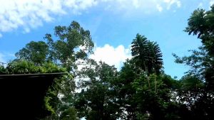 Gaun Pesta Anak Perempuan Mewah